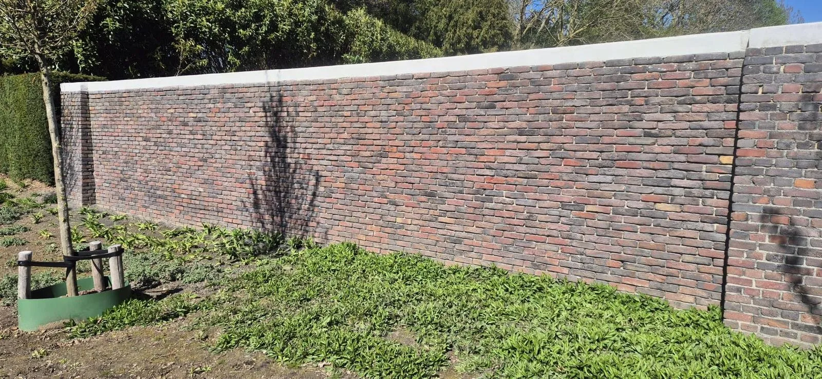 Lange tuinmuur in gemêleerd rood metselwerk met betonnen afdekplaat
